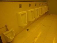 DSCN1093.JPG